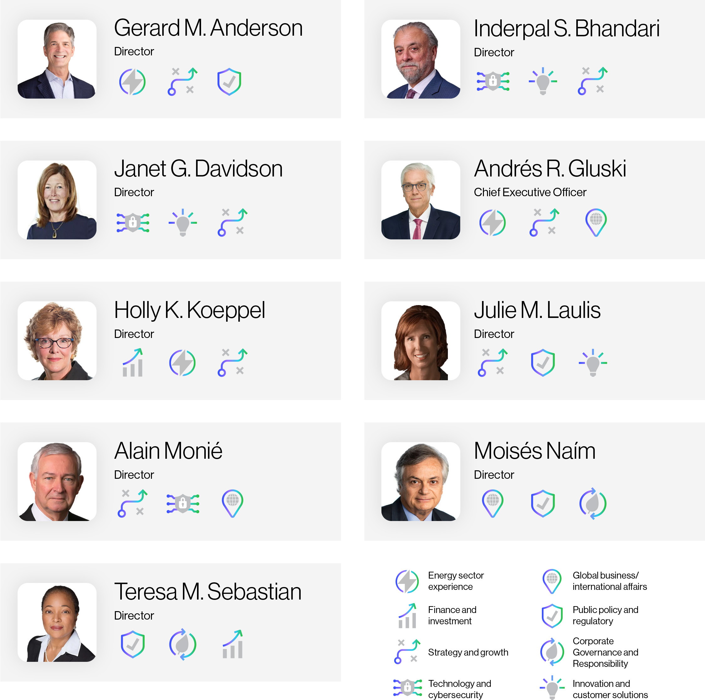 Proxy 2026 - directors skills.jpg