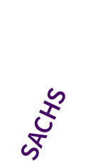 SACHS_1.jpg