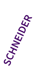 SCHNEIDER_1.jpg