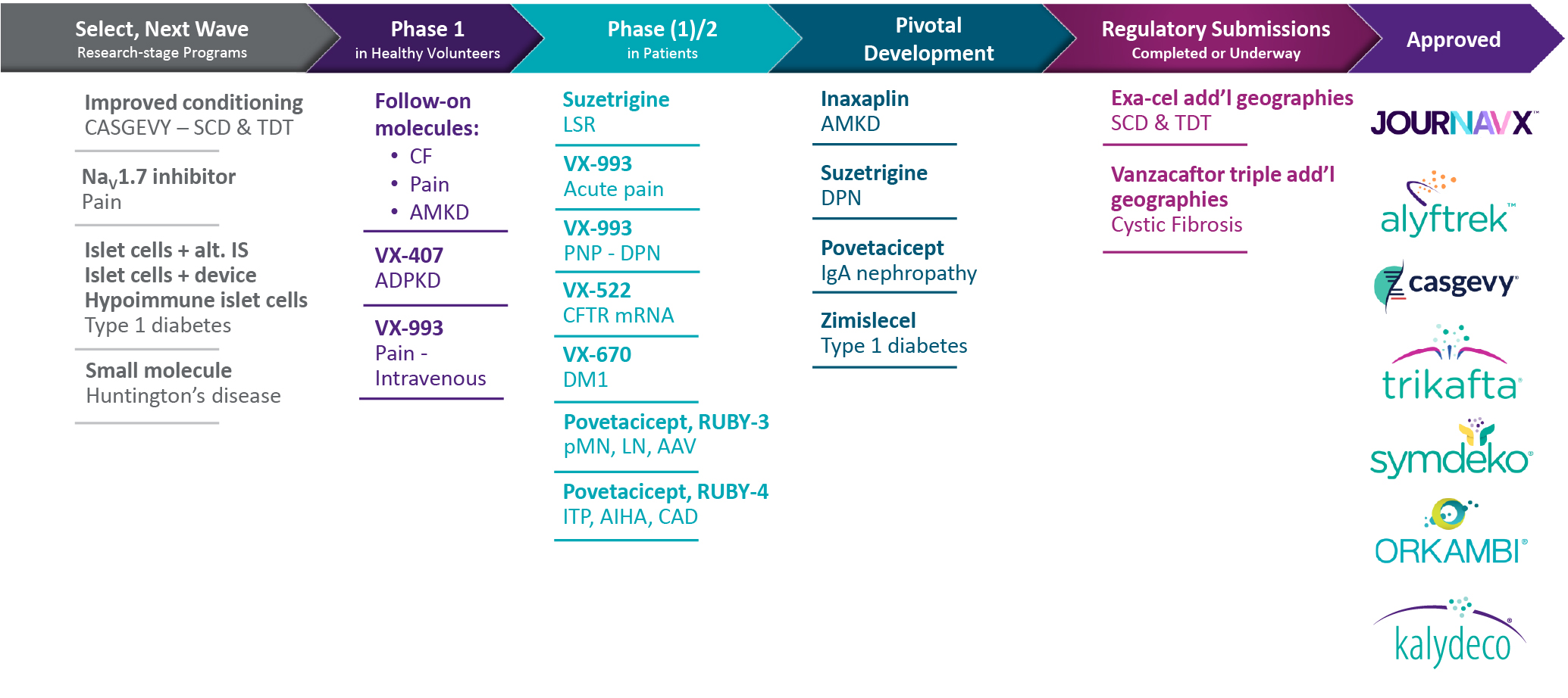 04 435534-1 gfx_clinical program_04 435534-1 gfx_clinical program.jpg