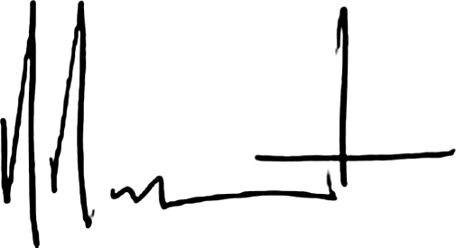 [MISSING IMAGE: sg_hervehoppenot-bw.jpg]