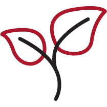 02 PRO013636_director-skills-and-exp_ESG.jpg