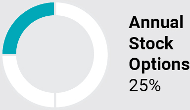 03_PRO013450_pie_equityawards_annual stock options.jpg