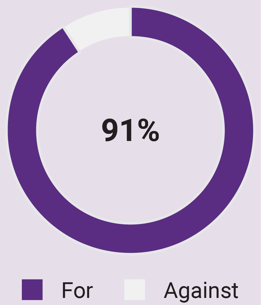 03_Synopsis_advisory vote.jpg