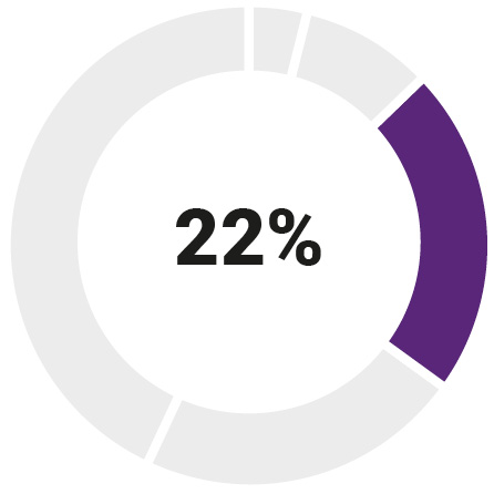 03_Synopsis_Annual Stock Option_CEO.jpg