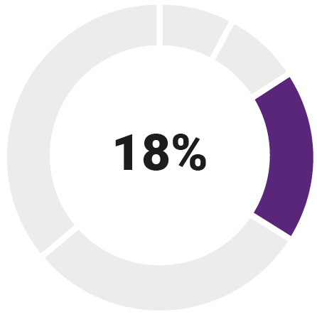 03_Synopsis_Annual Stock Option_NEOs.jpg