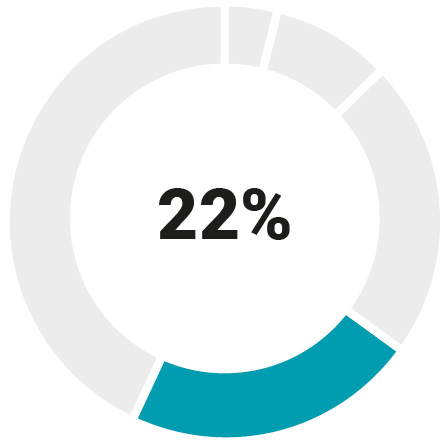 03_Synopsis_Annual RSUs_CEO.jpg