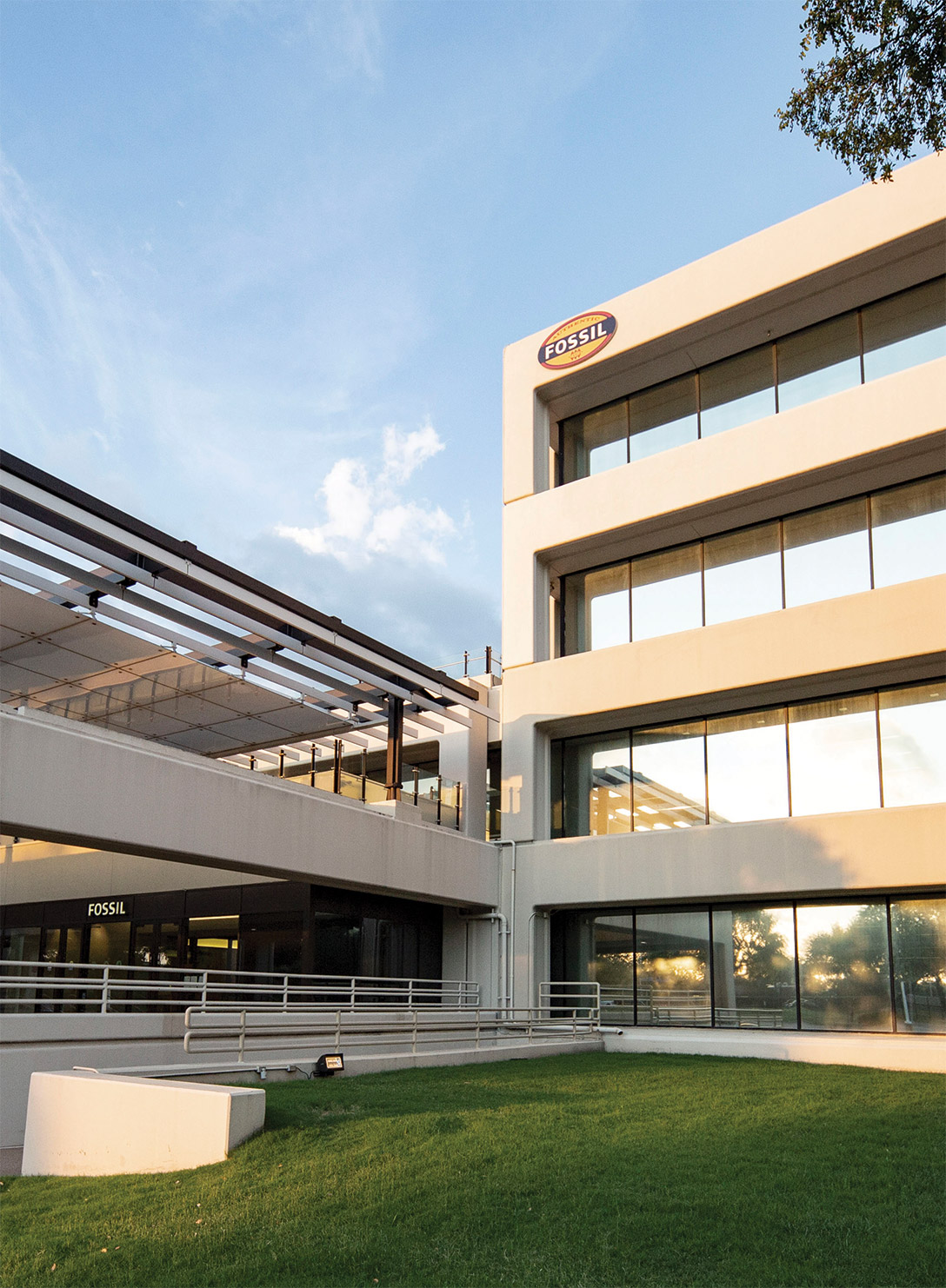 [MISSING IMAGE: img_fossil-4c.jpg]