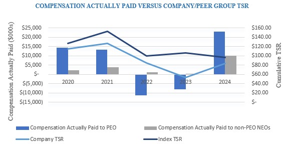Relationship Between Pay and Performance_TSR.jpg