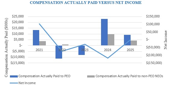 Relationship Between Pay and Performance_Net Income.jpg