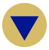 Gold Circle Blue Arrow.jpg