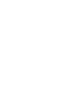 RCC CEO Icon.gif