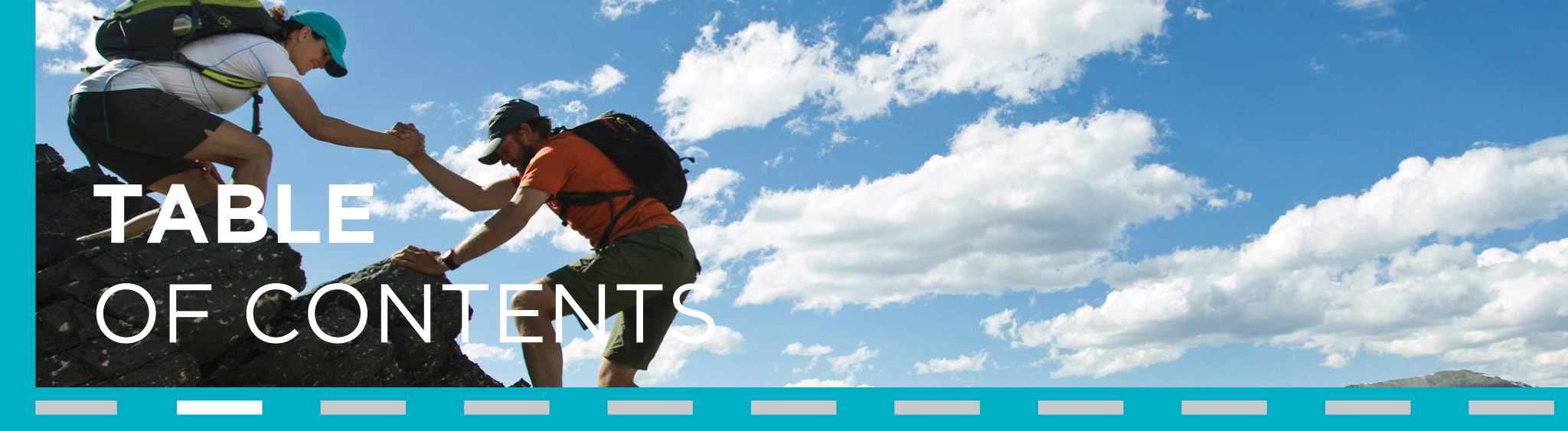 [MISSING IMAGE: tm2227948d1-hdr_toc4c.jpg]