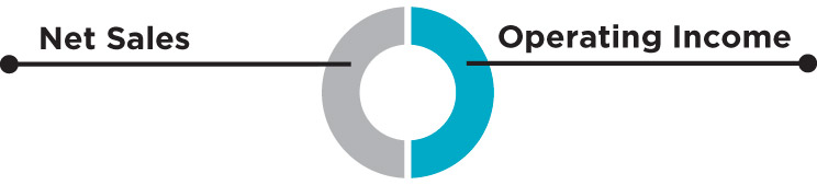 [MISSING IMAGE: tm2227948d1-pc_netsalespn.jpg]