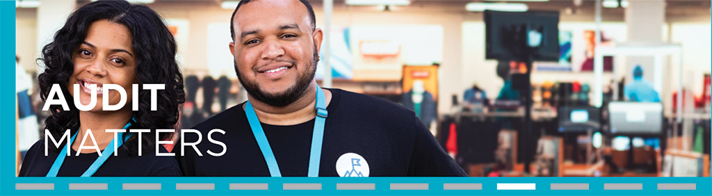 [MISSING IMAGE: hd_auditmatters-pn.jpg]