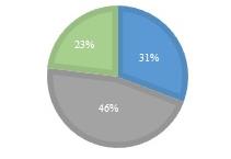 Chart, pie chart

Description automatically generated