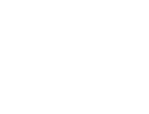 [MISSING IMAGE: ic_corpgov-ko.gif]