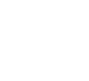 [MISSING IMAGE: ic_cyber-ko.gif]