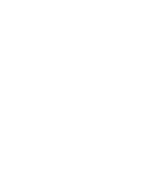 [MISSING IMAGE: ic_excellence-ko.gif]