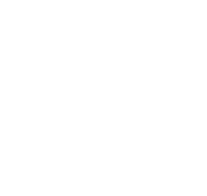 [MISSING IMAGE: ic_riskmgmt-ko.gif]