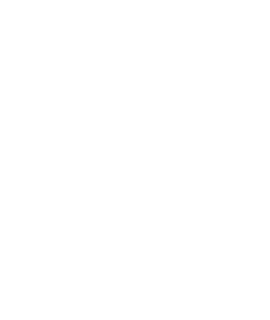 [MISSING IMAGE: ic_safety-ko.gif]