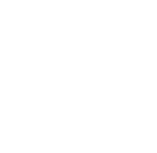 [MISSING IMAGE: ic_shareholdervalue-ko.gif]