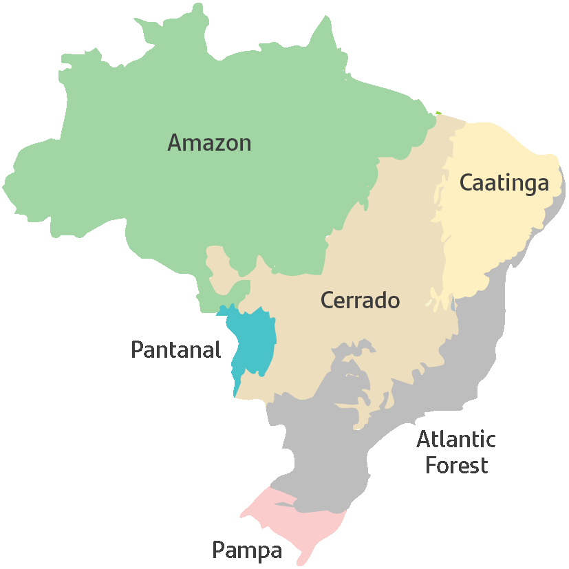 MapBiomasBrazilENG.gif