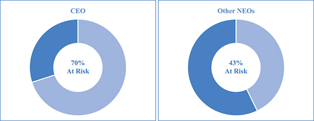 [MISSING IMAGE: pc_payforperformance-pn.jpg]