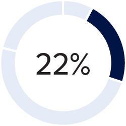 03 437787-1_pie_compensation-elements_annual-incentive_ceo.jpg