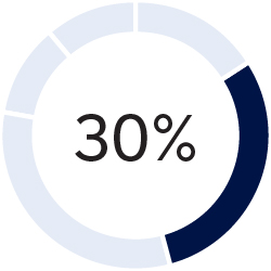 03 437787-1_pie_compensation-elements_annual-incentive_neo.jpg