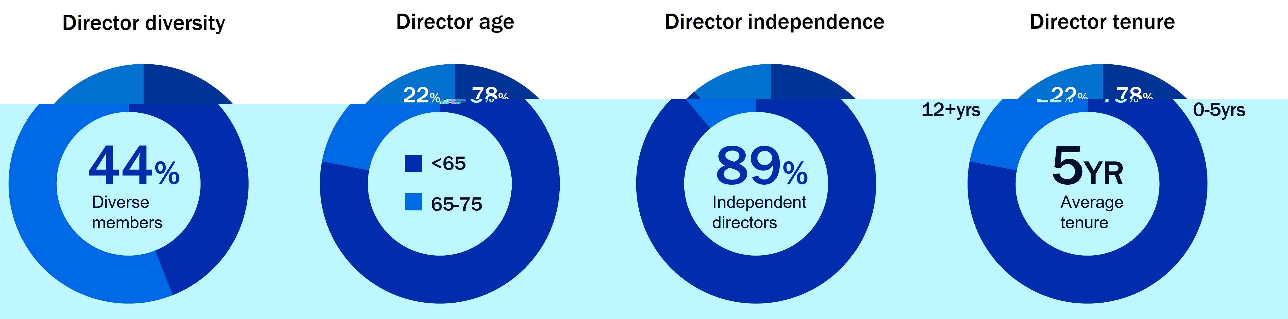 Board Diversity Graphic v2.jpg