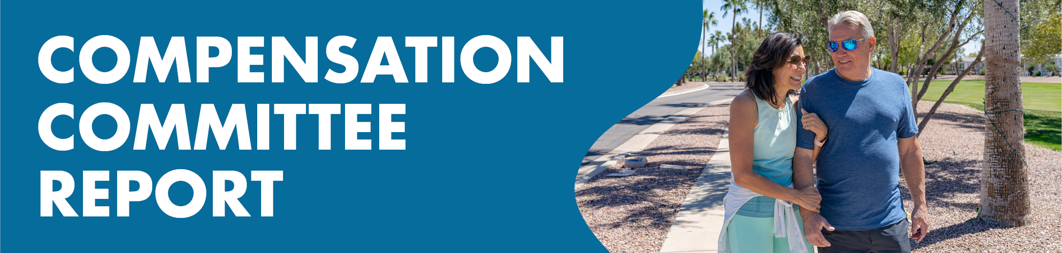 gfx_banner_comp-committee-report.jpg
