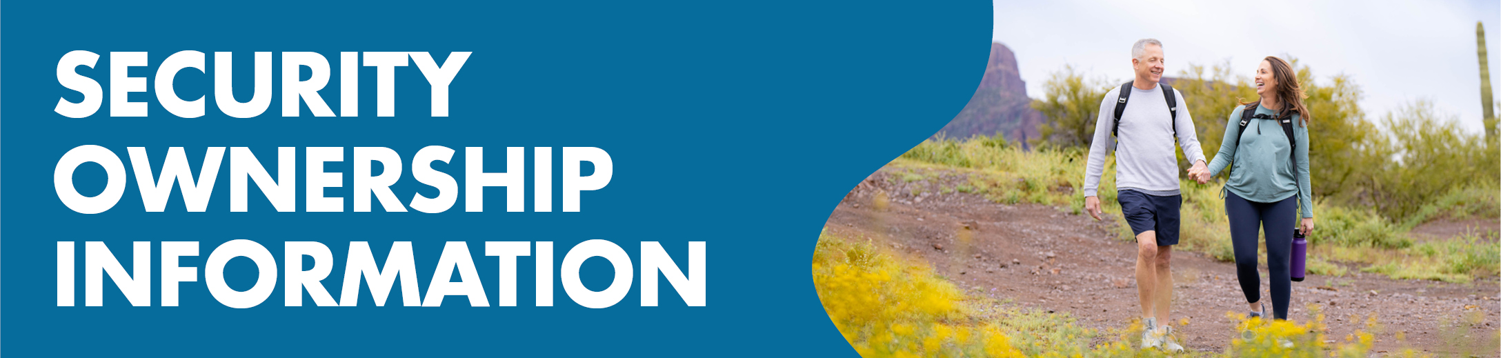 gfx_banner_security-ownership.jpg