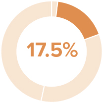 03_PRO013582_pie_elements of compensation_annual.jpg