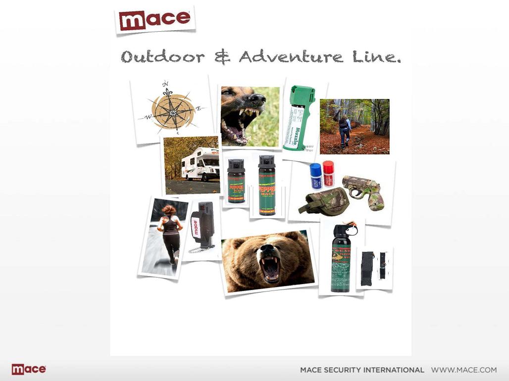 Slide 13
