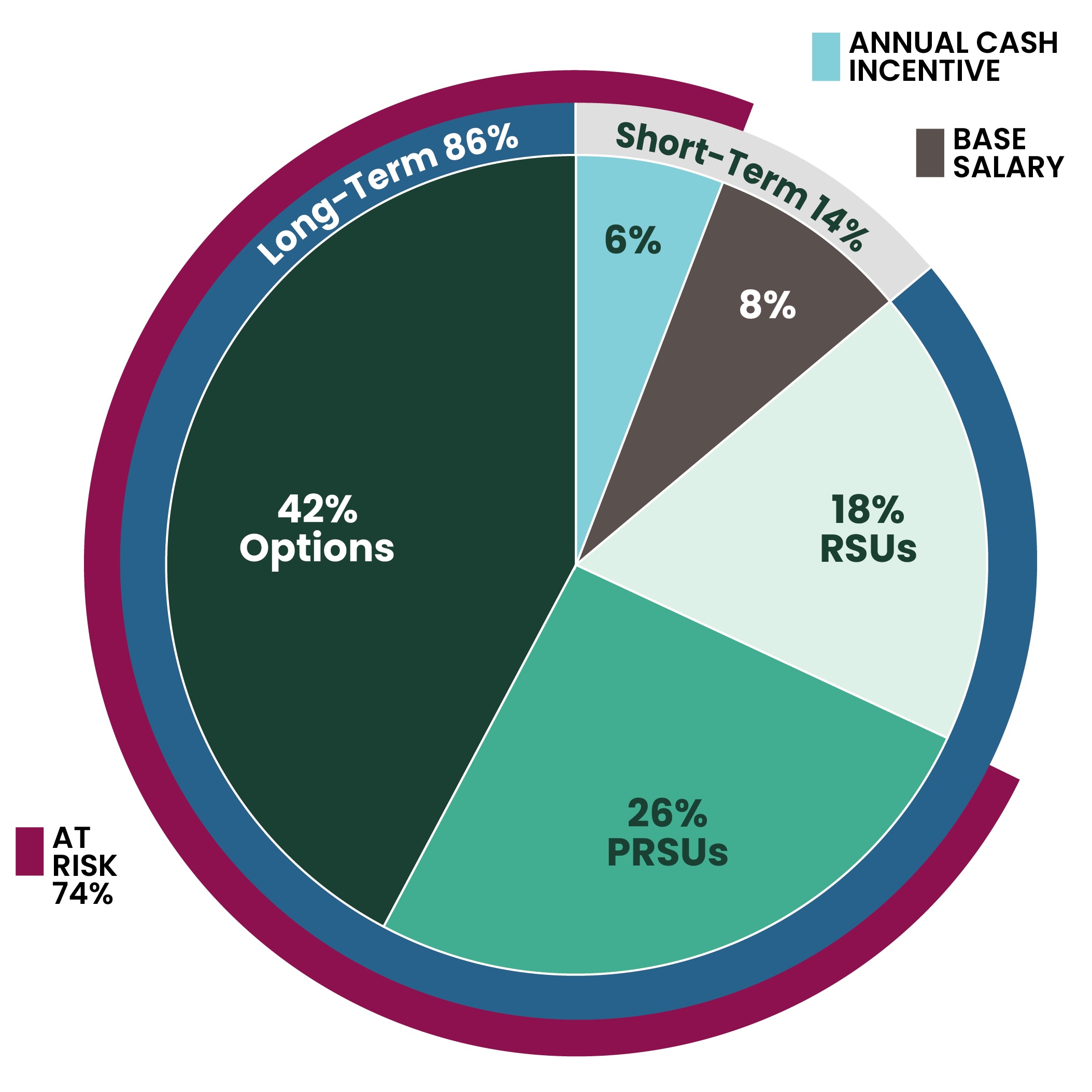 CEO PIE NEW COLOR 2025.jpg