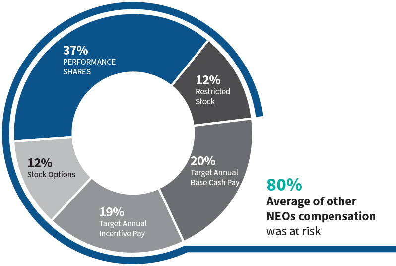 03_PRO013246_pie_compensationMix_other NEOs.jpg