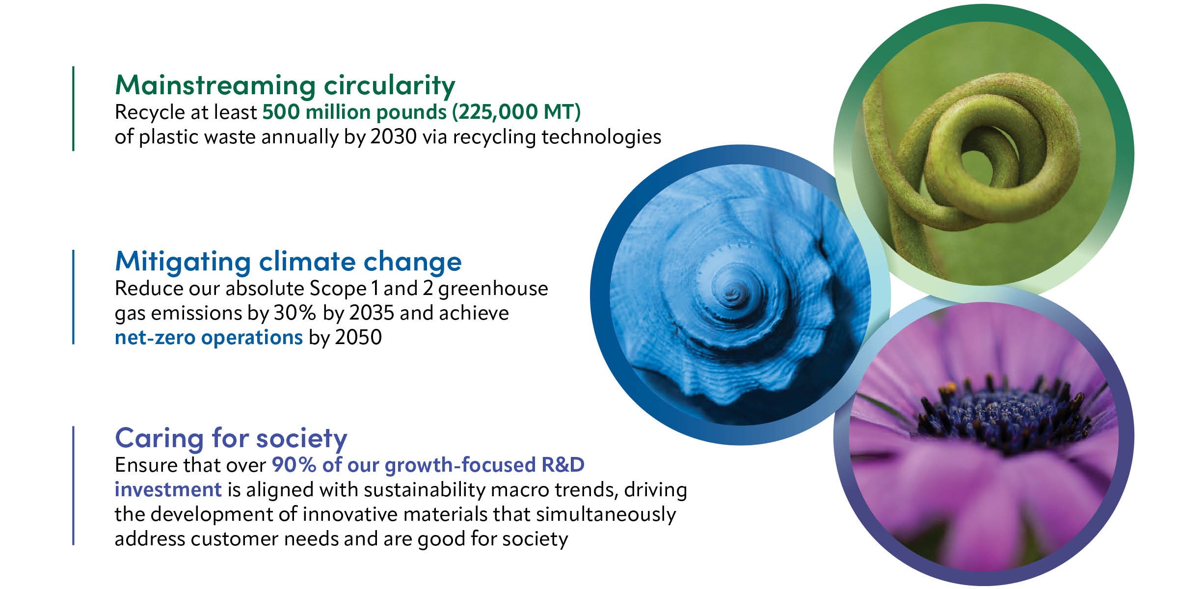 sus highlights.docx.jpg