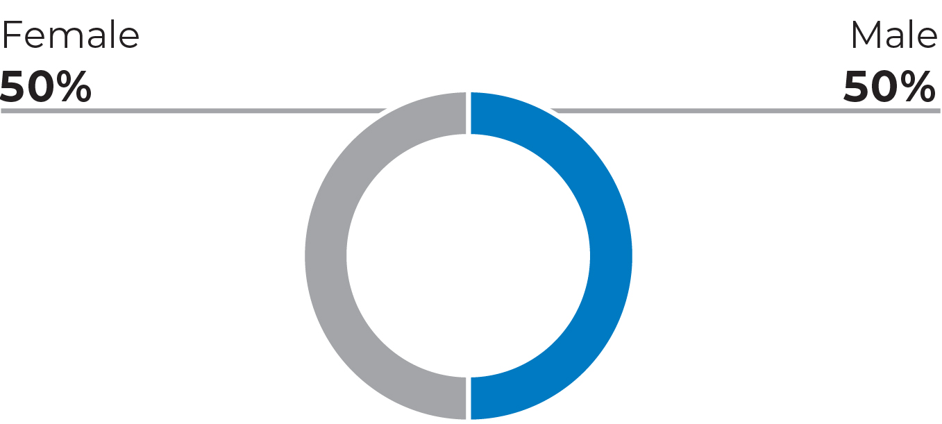 03 PRO013651_pie_board-nominee_gender.jpg