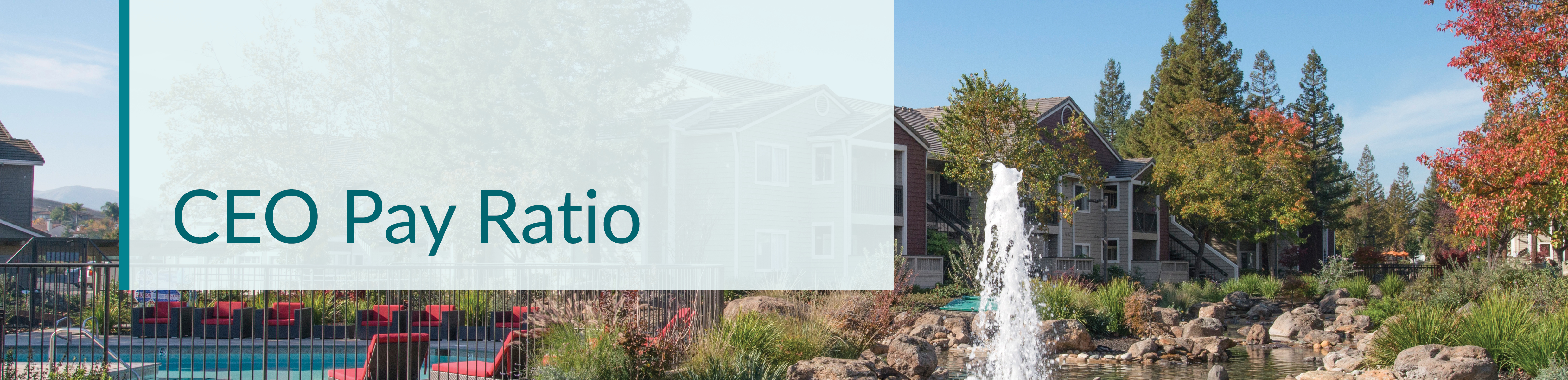 04 ESS_Banner_CEO Pay.jpg