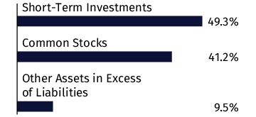 Graphical Representation - Allocation 1 Chart