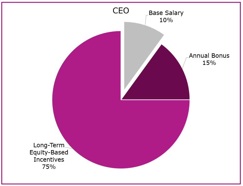 2025 CEO Compensation Pie Chart.jpg