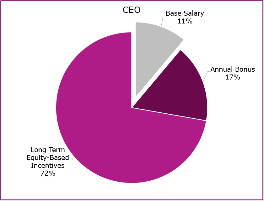 2024 CEO Compensation Pie Chart.jpg