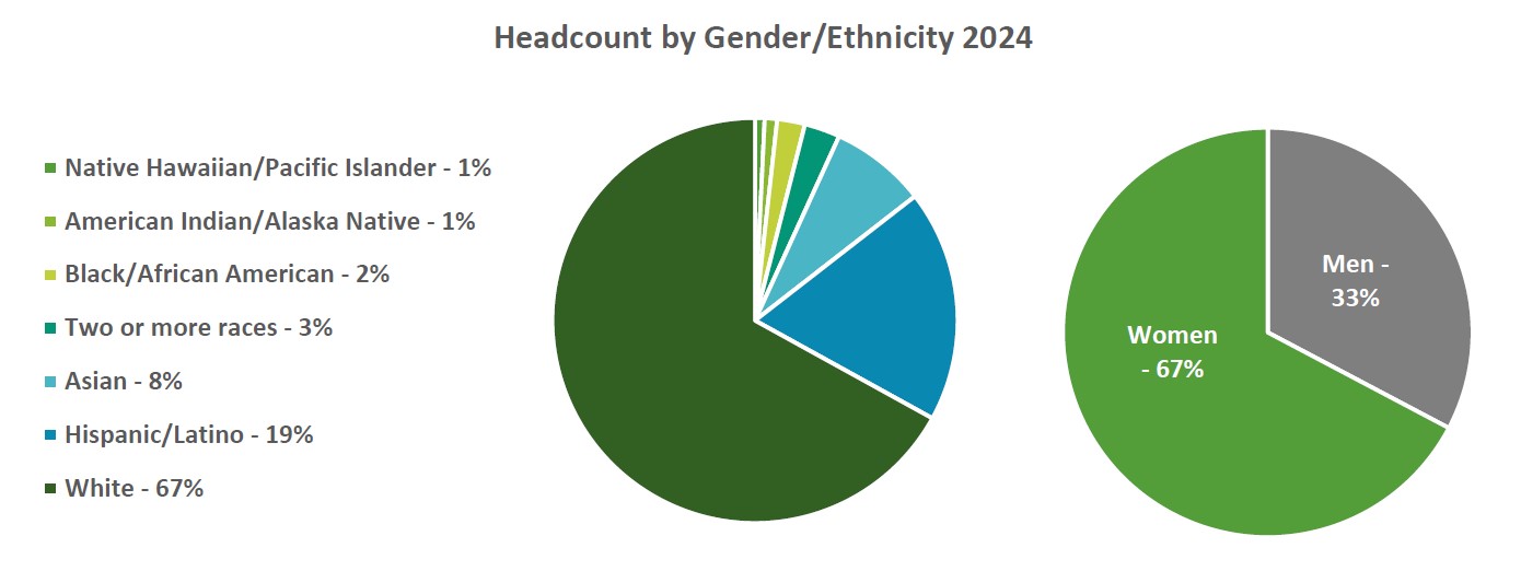 Headcount by Gender-Ethnicity 2024 NEW.jpg