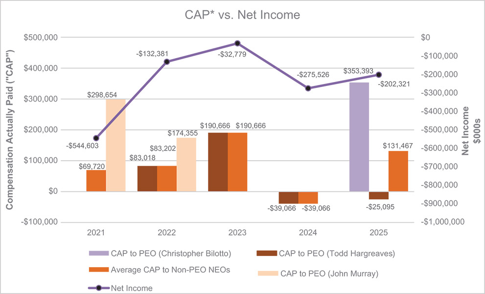 [MISSING IMAGE: bc_netincome-pn.jpg]