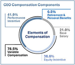 ceocompcomponentsgraphic.jpg