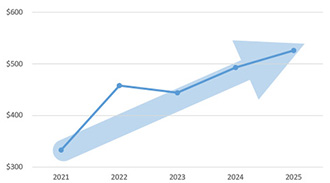 revenuegrowthchart.jpg
