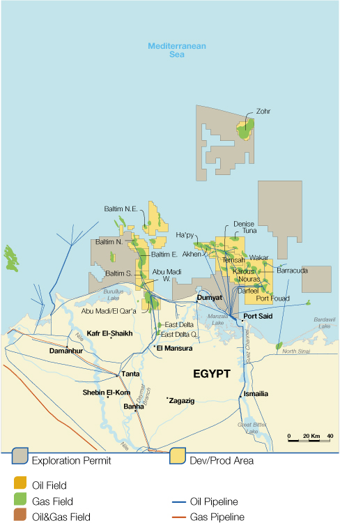 [MISSING IMAGE: tm215953d3-mp_egypt4c.jpg]