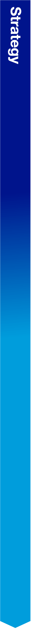 Board_Activities_Strategy-3.gif