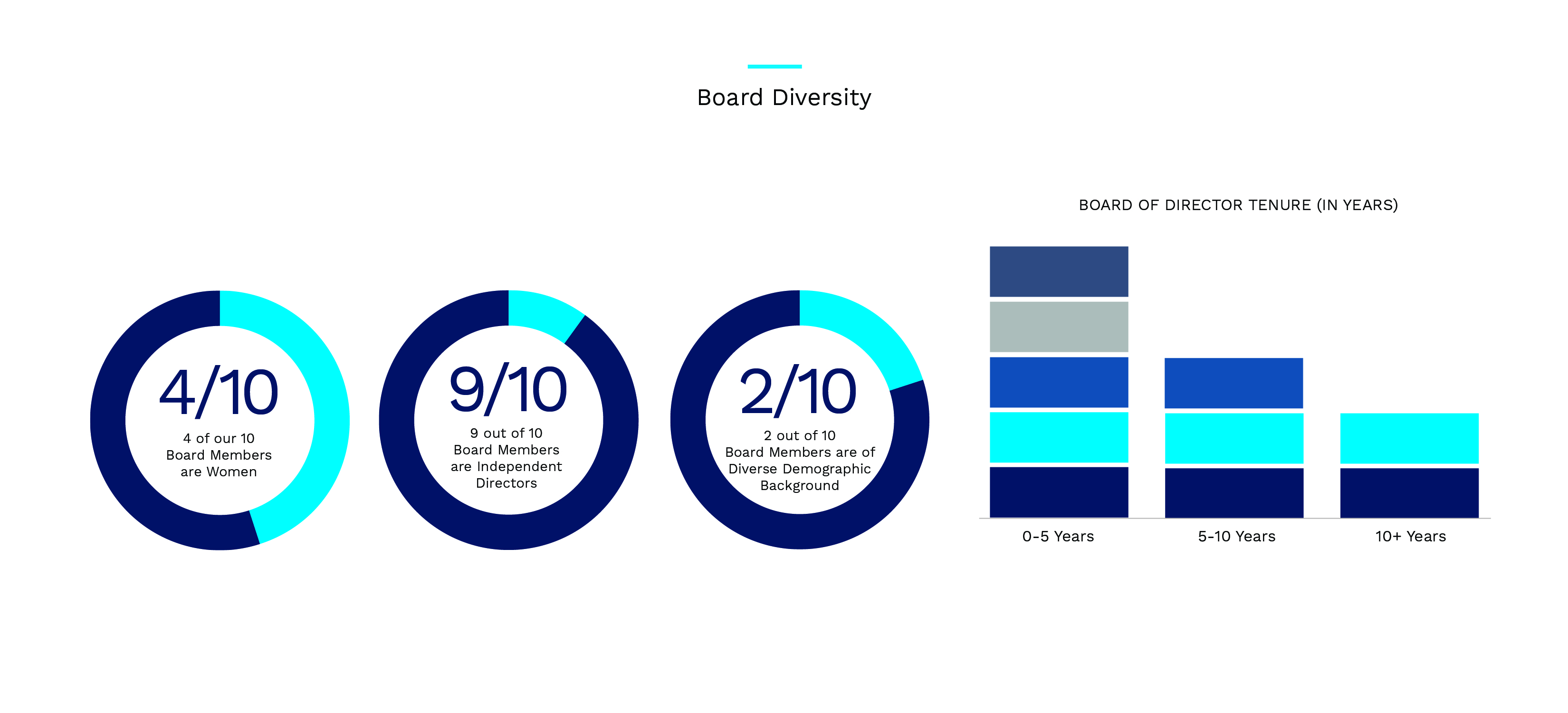board diversity FY24.jpg